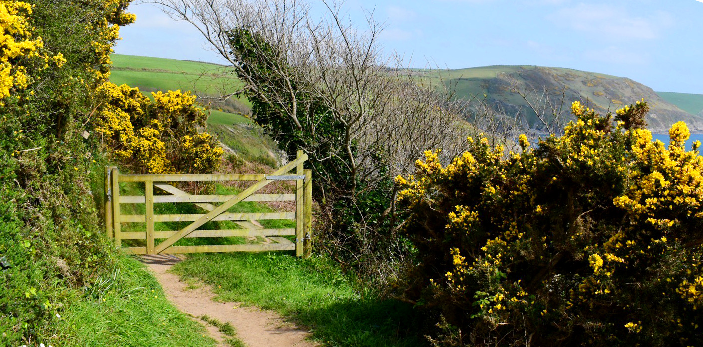 Plenty of beautiful gateways